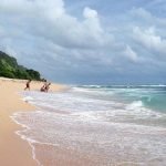Tanah tebing Bali yang luar biasa untuk dijual di lokasi utama Pecatu Tanah tebing Bali yang luar biasa untuk dijual di lokasi utama Pecatu