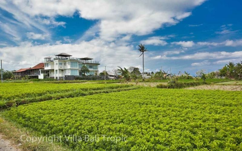 Real estat pinggir pantai yang mewah di kawasan elit Gianyar Bali 8
